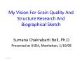 My Vision For Grain Quality And Structure Research And Biographical Sketch PowerPoint PPT Presentation