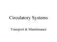 Circulatory Systems PowerPoint PPT Presentation