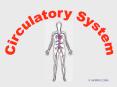 Circulatory system PowerPoint PPT Presentation