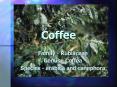Coffee PowerPoint PPT Presentation