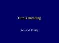 Citrus Breeding PowerPoint PPT Presentation