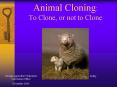 Animal Cloning: To Clone, or not to Clone PowerPoint PPT Presentation