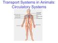Transport Systems in Animals: Circulatory Systems PowerPoint PPT Presentation