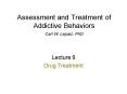 Assessment and Treatment of Addictive Behaviors Carl W. Lejuez, PhD PowerPoint PPT Presentation