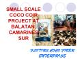 SMALL SCALE COCO COIR PROJECT AT BALATAN, CAMARINES SUR PowerPoint PPT Presentation