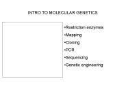 INTRO TO MOLECULAR GENETICS