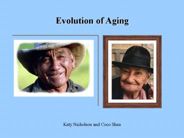Evolution of Aging
