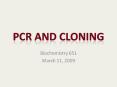 PCR and Cloning PowerPoint PPT Presentation