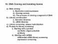 10. DNA Cloning and Isolating Genes PowerPoint PPT Presentation