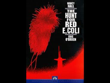 The University of Iowa