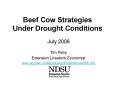 Beef Cow Strategies Under Drought Conditions PowerPoint PPT Presentation