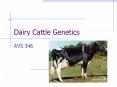 Dairy Cattle Genetics PowerPoint PPT Presentation