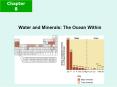 Water and Minerals: The Ocean Within PowerPoint PPT Presentation