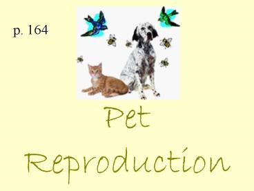 Pet Reproduction