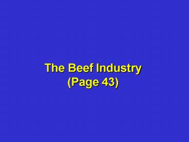 The Beef Industry