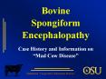 Bovine Spongiform Encephalopathy Case History and Information on Mad Cow Disease PowerPoint PPT Presentation