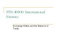 Exchange Rates and the Balance of Trade PowerPoint PPT Presentation