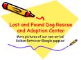 Lost and Found Dog Rescue and Adoption Center PowerPoint PPT Presentation