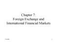Chapter 7: Foreign Exchange and International Financial Markets PowerPoint PPT Presentation