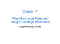 Chapter 17 Fixed Exchange Rates and Foreign Exchange Intervention PowerPoint PPT Presentation