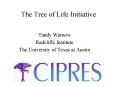 The Tree of Life Initiative PowerPoint PPT Presentation