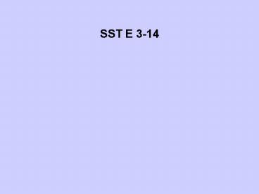 SST E 314