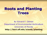 Roots and Planting Trees