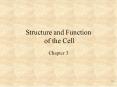 Structure and Function of the Cell PowerPoint PPT Presentation