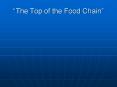 The Top of the Food Chain PowerPoint PPT Presentation
