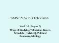SMST21606B Television PowerPoint PPT Presentation