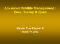 Advanced Wildlife Management : Deer, Turkey PowerPoint PPT Presentation