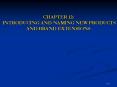 CHAPTER 12: INTRODUCING AND NAMING NEW PRODUCTS AND BRAND EXTENSIONS PowerPoint PPT Presentation
