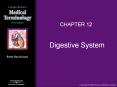 Digestive System PowerPoint PPT Presentation