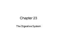 The Digestive System PowerPoint PPT Presentation