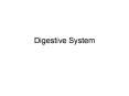 Digestive System PowerPoint PPT Presentation