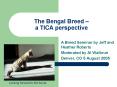The Bengal Breed a TICA perspective PowerPoint PPT Presentation