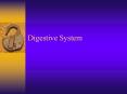 Digestive System PowerPoint PPT Presentation