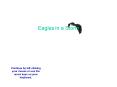 Eagles in a Storm PowerPoint PPT Presentation