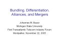 Bundling, Differentiation, Alliances, and Mergers PowerPoint PPT Presentation