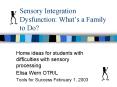 Sensory Integration Dysfunction: Whats a Family to Do PowerPoint PPT Presentation