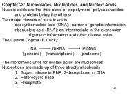 Chapter 28: Nucleosides, Nucleotides, and Nucleic Acids.