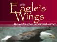 How eagles reflect our spiritual journey PowerPoint PPT Presentation
