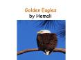 Golden Eagles by Hemali PowerPoint PPT Presentation