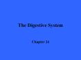 The Digestive System PowerPoint PPT Presentation