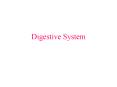 Digestive System PowerPoint PPT Presentation