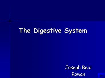 The Digestive System