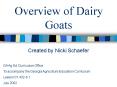 Overview of Dairy Goats PowerPoint PPT Presentation