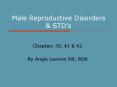 Male Reproductive Disorders PowerPoint PPT Presentation