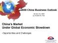 2009 China Business Outlook January 29, 2009 by Andrew M. Pan PowerPoint PPT Presentation
