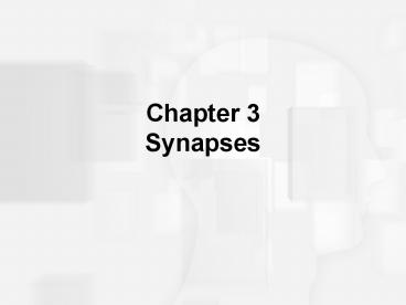 Chapter 3 Synapses